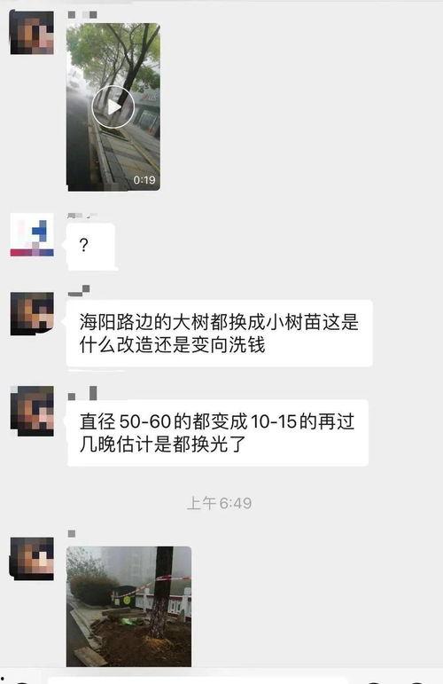 大树爆料视频,揭秘视频背后的惊人真相  第2张