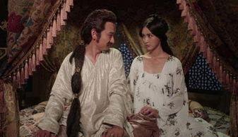 汉家女在线观看,穿越时空的美丽传奇 第2张 汉家女在线观看,穿越时空的美丽传奇 第2张